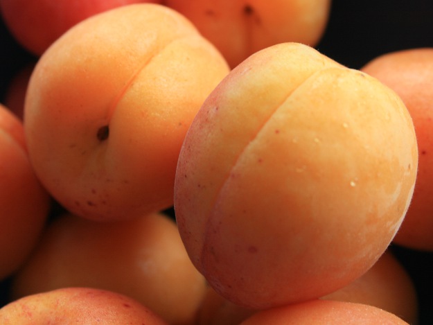 Viele Menschen genießen Aprikosen mit ihrer wunderbaren Süße Aprikose