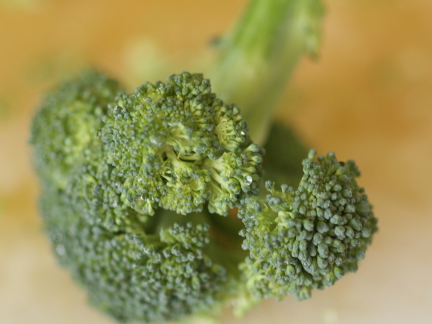 Man kann Brokkoli sowohl roh als auch gegart genießen. Brokkoli