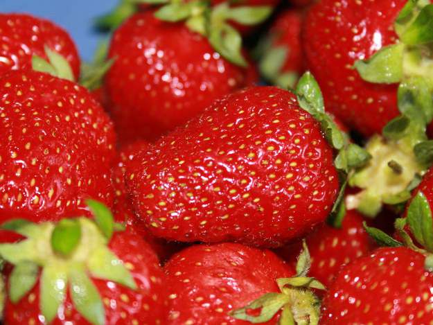 Erdbeeren sind fruchtig, gesund und lecker. Erdbeeren