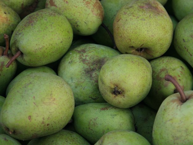 Die Birne ist eine süße und gesunde Obstsorte. Birne