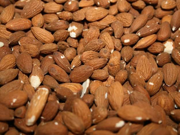 Nährstoffbomben aufgrund ihres sehr niedrigen Wassergehalts. Nüsse