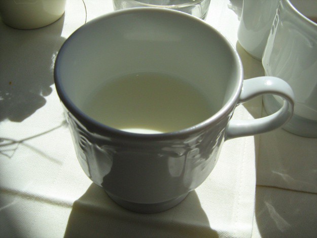 Infos rund um die Milch Milch