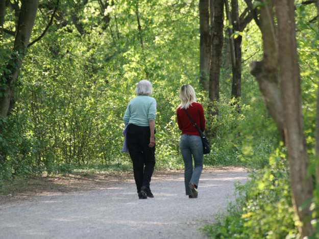 Einsinken der Wirbelk&ouml;rper