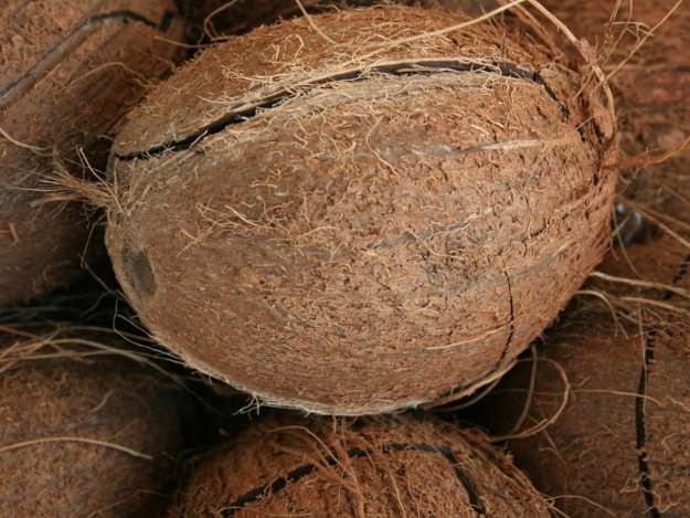 Kokosnüsse sind eine exzellente Mineralstoffquelle. Kokosnüsse