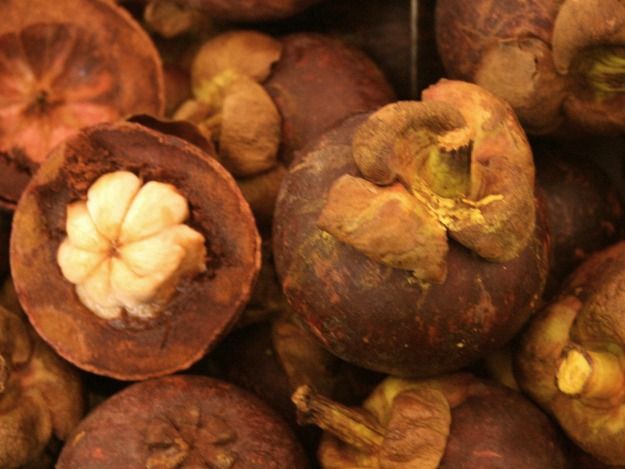 Mangostan gilt als exzellenter Radikalfänger. Mangostan