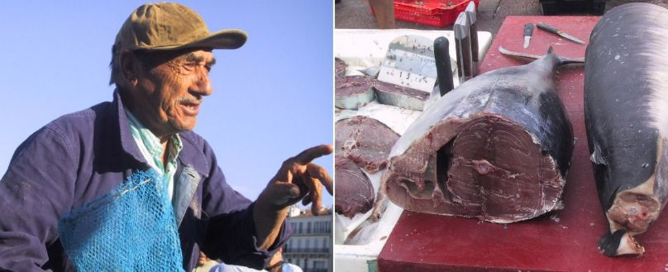 Fischmarkt in Marseille Marseille
