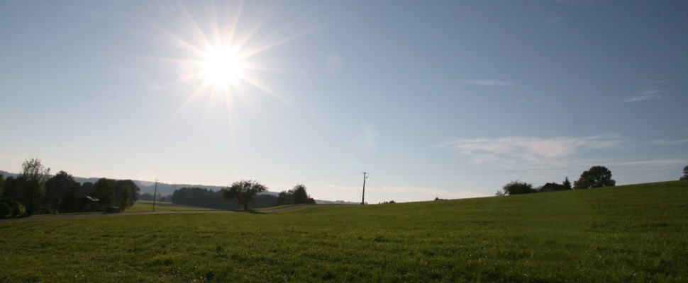 Wiesen rund um Gospoldshofen Gospoldshofen