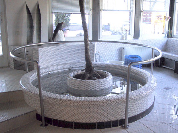 Kneippen liegt im Trend. Wassertreten