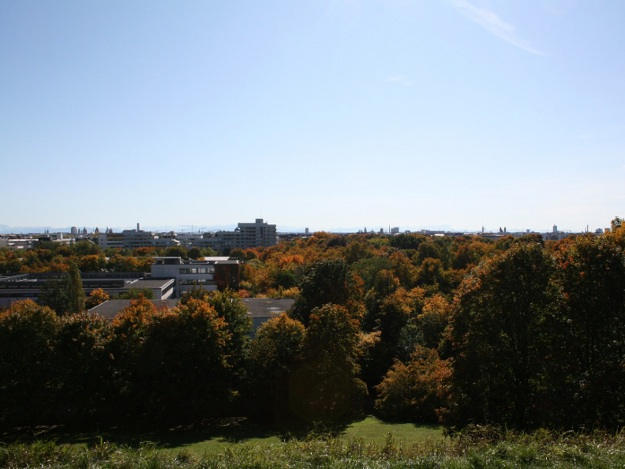 Bei Sommersmog sollten Sportler jedoch lieber einen Gang zurückschalten. Smog